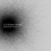 2_3/.dll (grey circuits)