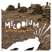 Maybe It's The End Of Time by Melodium