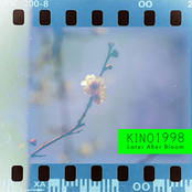 Later After Bloom