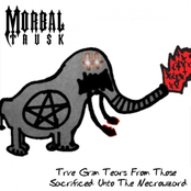 Trve Grim Tears From Those Sacrificed Unto The Necrowizard