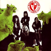 Radio Active Cats