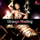 Strange Meeting