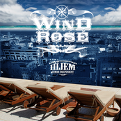 Роза Ветров