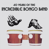 Dueling Bongos by Incredible Bongo Band