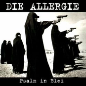 Bruderkrieg by Die Allergie