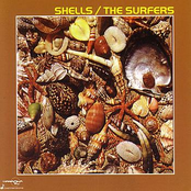 The Surfers: Shells / The Surfers