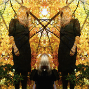 Austra: Feel It Break (Deluxe Version)