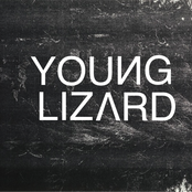 young lizard