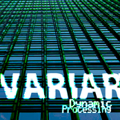 Dynamic Processing