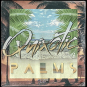 Quixotic: Palms