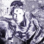 Quick Demo
