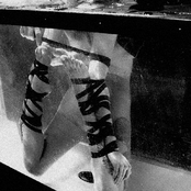 Ahead, The Beholden Primeval