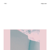 Indigo Code