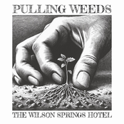 The Wilson Springs Hotel: Pulling Weeds