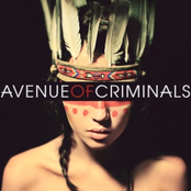 Avenue of Criminals