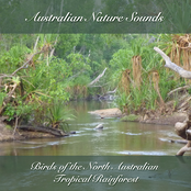 Birds of the North Australian Tropical Rainforest