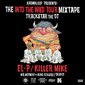 THE INTO THE WILD TOUR MIXTAPE