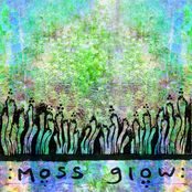 Moss Glow