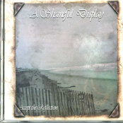 Accept the Reflection