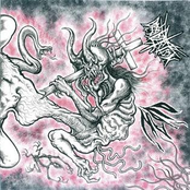 Fatal Desolation / OiDAKi