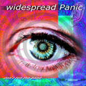 Sometimes by Widespread Panic