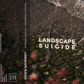 Landscape Suicide