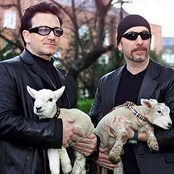 bono & the edge