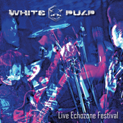 Live (Echozone Festival 2010)