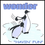 Wonder: Havin' Fun