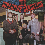 the superfine dandelion