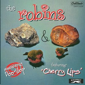 A Fool In Love by The Robins