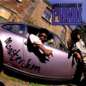 Paradise by Ambassadors Of Funk