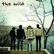 The Wild: Set Ourselves Free