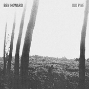 Follaton Wood by Ben Howard