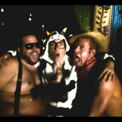 Mike Diamond: Who You Calling a Cow?