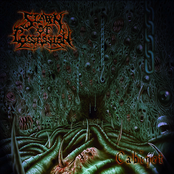 Hidden In Flesh by Spawn Of Possession
