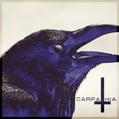 Carpathia: Night Light