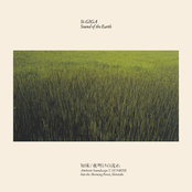 Into the Morning Forest, Shiretoko (知床 / 夜明けの流れ)