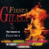 Fiesta Gitana