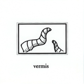 Vermis