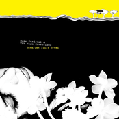 Suzanne by Hope Sandoval & The Warm Inventions