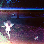 flowers trapped in spiderwebs