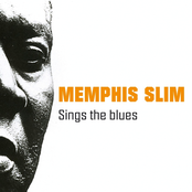 Whiskey And Gin Blues by Memphis Slim
