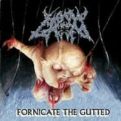 fornicate the gutted