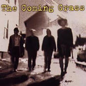 Take Me Over by The Coming Grass