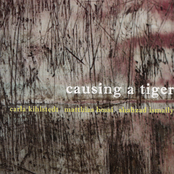Causing A Tiger
