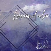 Lavandula