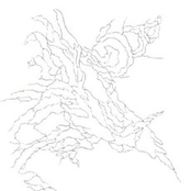 Tooth-Shaped Migration