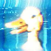 difficult second album acid