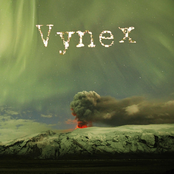 Vynex